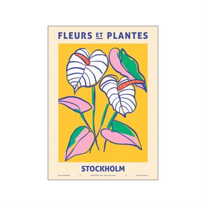 Poster And Frame Zoe Fleurs Et Plantes Stockholm Plakat 50 x 70 cm