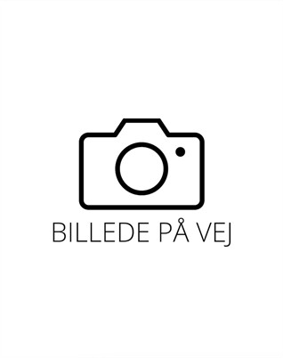 Portman Borgo Shorts