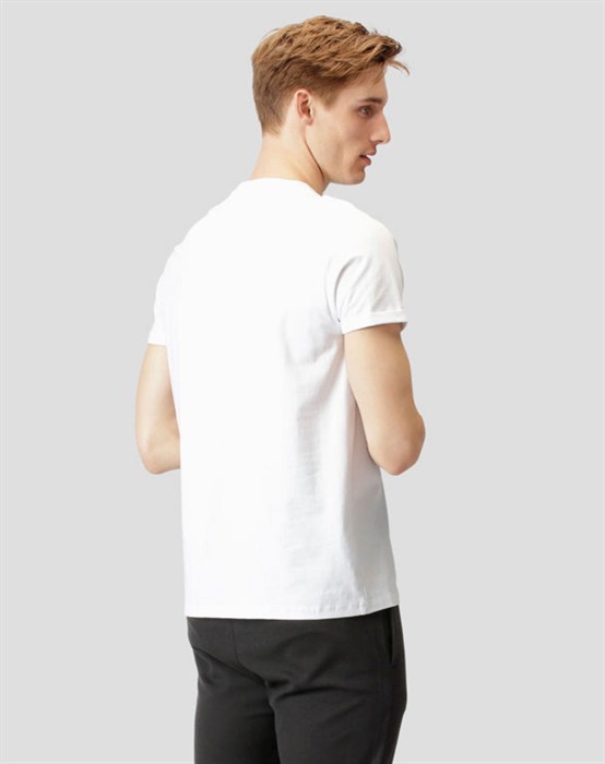 Basic Organic T-shirt