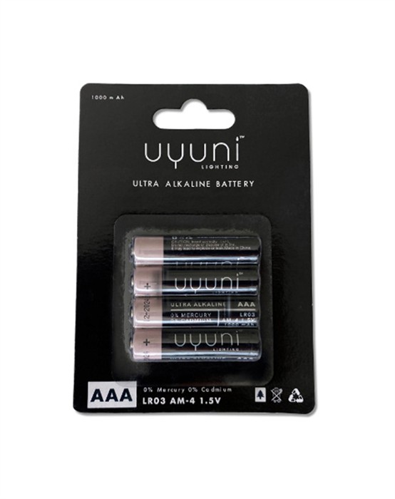 Uyuni Batterier - AAA