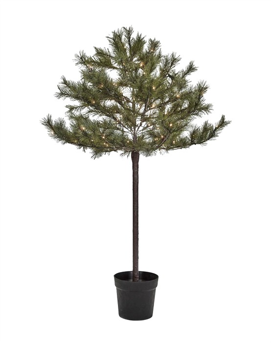 Juletræ med LED - Peuce - Natur