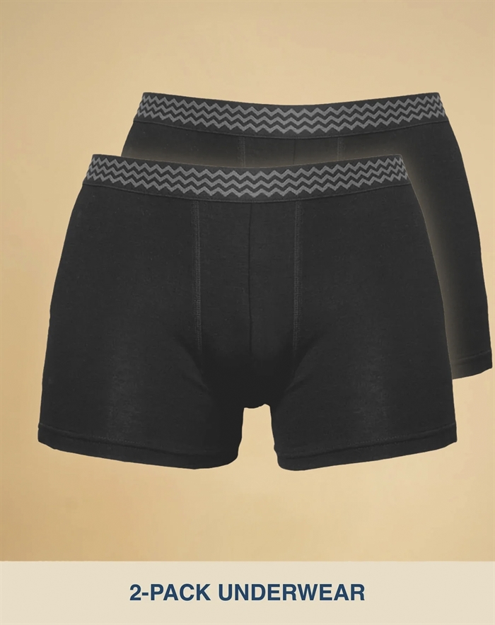 MENS MICROMODAL UNDERWEAR BOXE