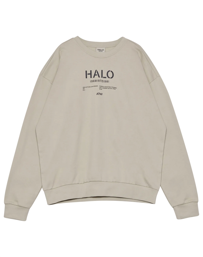 Halo - Graphic Boxy Crew  - Oyster Gray 