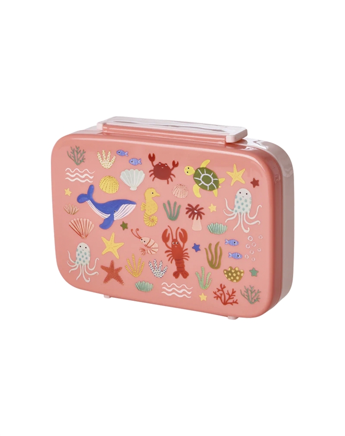 Plastic Lunchbox with 6 Rooms