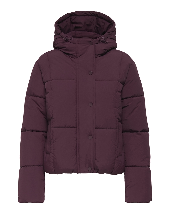 JDY - JDYWonder Short Hood Puffer Jakke - Fig