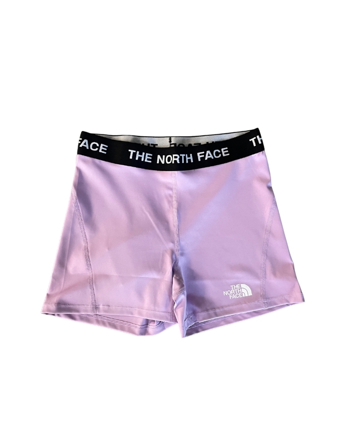 The North Face Training Shorts Lupine